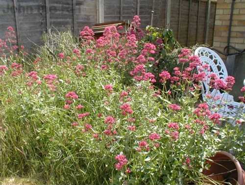 Taken 5 June 03