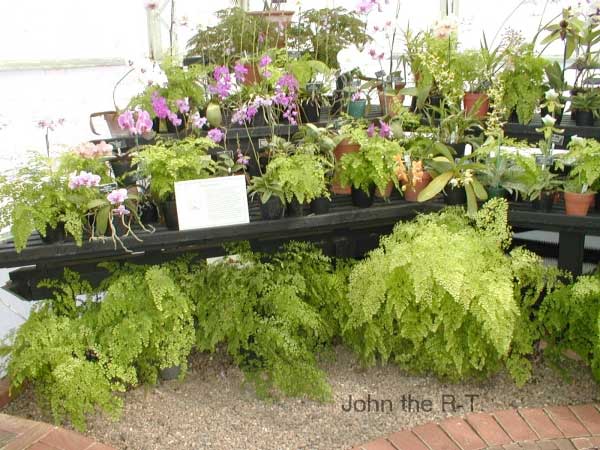 Wisley 05